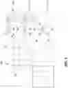 Fig. 03 - Image encoding/decoding image method and device, and recording medium storing bit stream