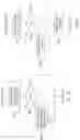 Fig. 09 - DEPENDENT RANDOM ACCESS POINT PICTURES