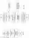 Fig. 10 - DEPENDENT RANDOM ACCESS POINT PICTURES