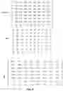 Fig. 05 - Image compression