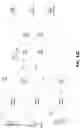Fig. 16 - Codec architecture for multiple layer video coding