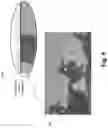 Fig. 10 - Dynamic content serving using automated content recognition (ACR) and digital media watermarks