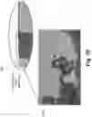 Fig. 11 - Dynamic content serving using automated content recognition (ACR) and digital media watermarks