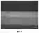 Fig. 06 - Wearable devices with increased adhesion