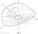 Fig. 05 - Playback devices having waveguides