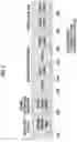 Fig. 06 - VEHICLE TERMINAL AND OPERATION METHOD THEREOF