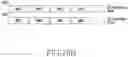Fig. 24 - Method for controlling service set for wireless LAN and apparatus therefor