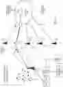 Fig. 06 - Backhaul selection in a wireless network