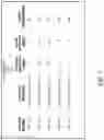 Fig. 08 - Backhaul selection in a wireless network