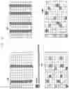Fig. 23 - Method and apparatus for time and frequency tracking in cellular communication system