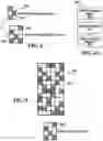 Fig. 05 - SYSTEMS AND METHODS FOR GRANT-FREE UPLINK TRANSMISSION