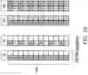 Fig. 09 - Dynamic short physical downlink control channel (sPDCCH) resources determination