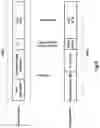 Fig. 06 - Control channel signaling for indicating the scheduling mode