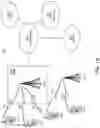 Fig. 03 - DYNAMIC ALLOCATION IN DENSE MMWAVE NETWORKS