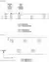 Fig. 08 - Apparatus and method for random access in wireless communication system