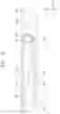 Fig. 26 - Display device