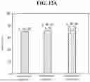 Fig. 18 - Light source for plant cultivation