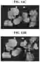 Fig. 23 - Light source for plant cultivation