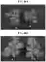 Fig. 29 - Light source for plant cultivation