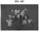Fig. 30 - Light source for plant cultivation