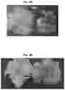 Fig. 06 - Light source for plant cultivation