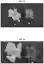 Fig. 12 - Light source for plant cultivation