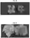 Fig. 13 - Light source for plant cultivation