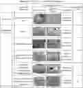 Fig. 01 - Plant activator and a method of manufacturing the same
