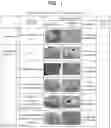 Fig. 02 - Plant activator and a method of manufacturing the same