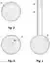 Fig. 03 - Garden seed planter