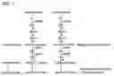 Fig. 03 - Haploid induction compositions and methods for use therefor