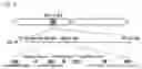 Fig. 04 - Haploid induction compositions and methods for use therefor