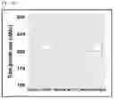 Fig. 11 - Haploid induction compositions and methods for use therefor