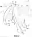 Fig. 03 - STRETCHABLE ANIMAL FOOT COVERING