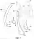 Fig. 04 - STRETCHABLE ANIMAL FOOT COVERING