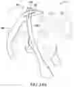 Fig. 08 - STRETCHABLE ANIMAL FOOT COVERING