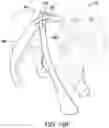 Fig. 09 - STRETCHABLE ANIMAL FOOT COVERING