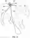 Fig. 13 - STRETCHABLE ANIMAL FOOT COVERING