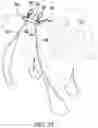 Fig. 16 - STRETCHABLE ANIMAL FOOT COVERING