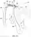 Fig. 18 - STRETCHABLE ANIMAL FOOT COVERING