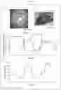 Fig. 06 - System for restraining experimental animal