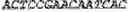 Fig. 04 - Genetically modified non-human animals expressing human EPO