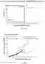 Fig. 25 - NSG mice lacking MHC class I and class II