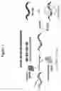 Fig. 02 - Transgenic animal phenotyping platform and uses thereof