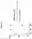 Fig. 05 - Transgenic animal phenotyping platform and uses thereof