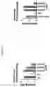 Fig. 06 - Transgenic animal phenotyping platform and uses thereof