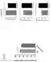 Fig. 08 - Transgenic animal phenotyping platform and uses thereof