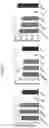 Fig. 09 - Transgenic animal phenotyping platform and uses thereof