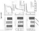 Fig. 11 - Transgenic animal phenotyping platform and uses thereof