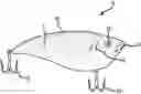 Fig. 01 - Material application to fishing lures possessing temperature sensitive chromaticity vicissitude creating a color changing fishing lure or rubber bait
